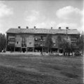 Vännäs Livs (2)
