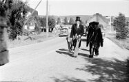 Festtåg 5