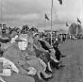 8 Jubileumsutställningen   1951