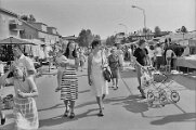 4 Vännäsdagarna 1982