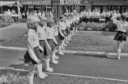 7 Vännäs Dagarna 1982