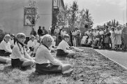 8 Vännäs Dagarna 1982