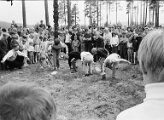 6 Midsommarfirande Vännäsparken 1968