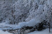 IMG_3246