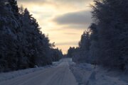 IMG_3247