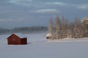 IMG_3248