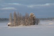 IMG_3249