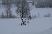 IMG_3250
