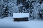 IMG_3251