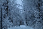 IMG_3256