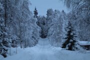IMG_3261