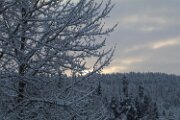 IMG_3266