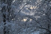 IMG_3268