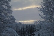 IMG_3270