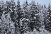 IMG_3271