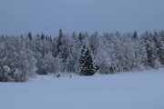 IMG_3273
