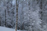 IMG_3280
