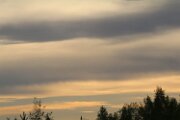 IMG_3724