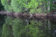 IMG_3756