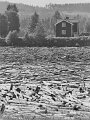 6 översvämningen 1938