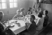 Selet 1966 (1)