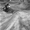 1959 (2)