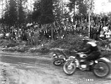 1959 (5)