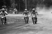 1981 (3)