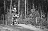 1982 Juni (4)
